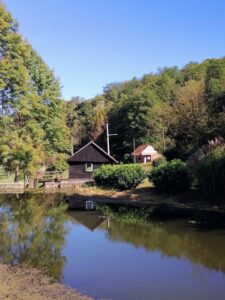 Foto: Želimir Hrvatić