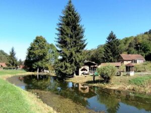 Foto: Želimir Hrvatić