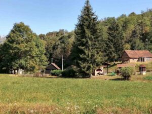 Foto: Želimir Hrvatić