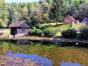 Foto: Želimir Hrvatić