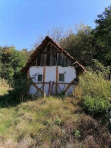 Foto: Želimir Hrvatić