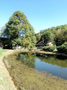 Foto: Želimir Hrvatić