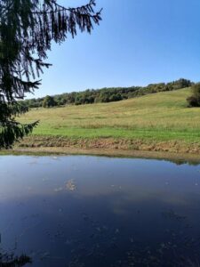 Foto: Želimir Hrvatić