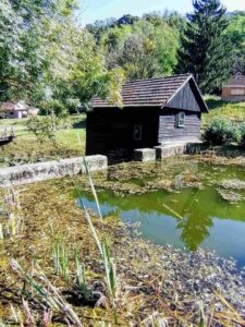 Foto: Želimir Hrvatić