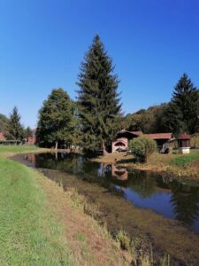 Foto: Želimir Hrvatić