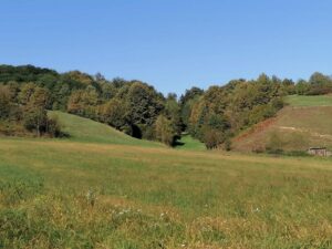 Foto: Želimir Hrvatić