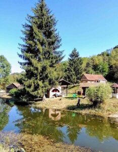 Foto: Želimir Hrvatić