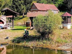 Foto: Želimir Hrvatić