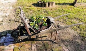 Foto: Želimir Hrvatić