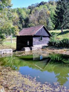 Foto: Želimir Hrvatić