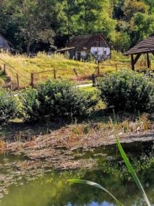 Foto: Želimir Hrvatić