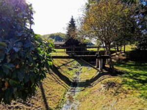 Foto: Želimir Hrvatić