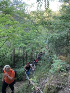 foto: Emilija Grahovac