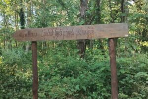 foto: Emilija Grahovac